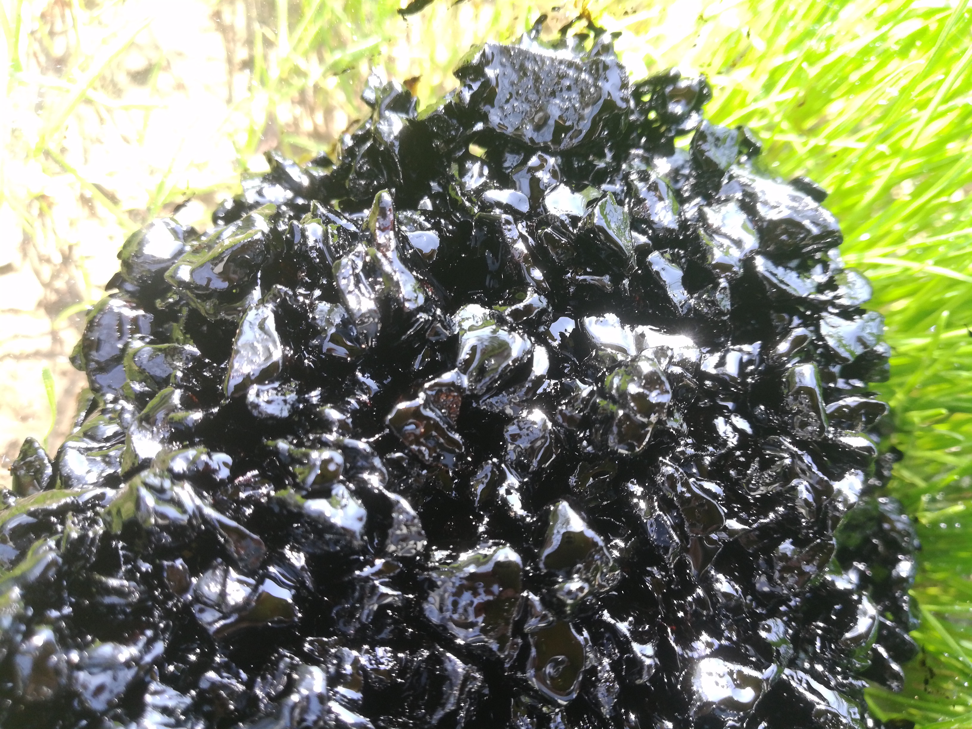 常備嘉格瀝青冷補料，讓裂縫坑槽病害處理更加得心應(yīng)手
